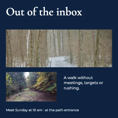 Out of the inbox · panorama serif