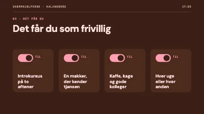 Side 5 af Frivilligrekruttering — skærmhjælpere