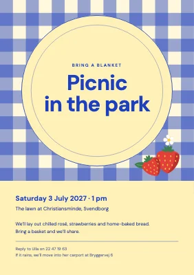Picnic in the park — gingham blanket