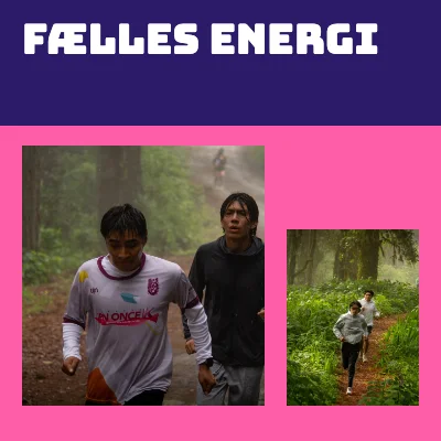 Fælles energi · Stærkt billedgitter