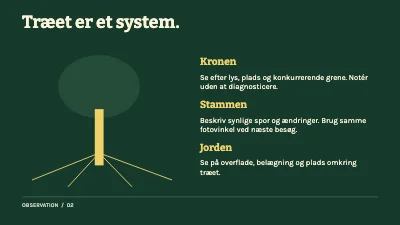 Side 2 af Rod, rum og tid