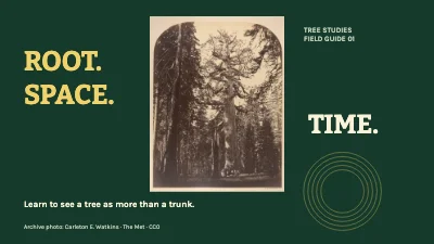 Root, space and time