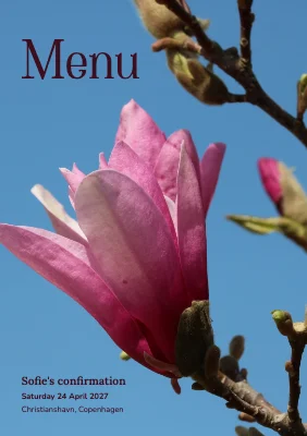 Confirmation menu — magnolia in a blue sky