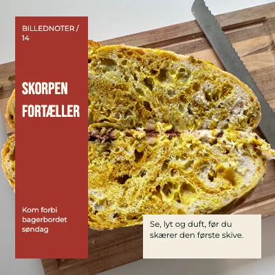 Skorpen fortæller · Typografisk bånd