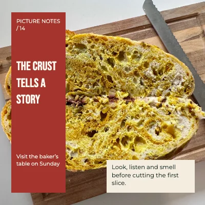 The crust tells a story · Type ribbon