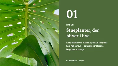 Side 3 af Produktlancering — stueplanter på abonnement