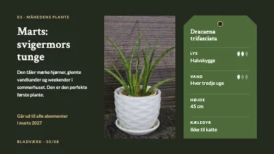 Side 5 af Produktlancering — stueplanter på abonnement