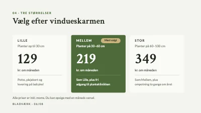 Side 6 af Produktlancering — stueplanter på abonnement