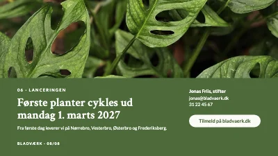 Side 8 af Produktlancering — stueplanter på abonnement