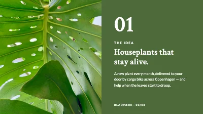 Page 3 of Product launch — houseplant subscription