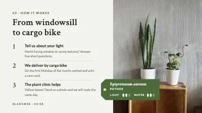 Page 4 of Product launch — houseplant subscription
