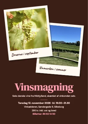 Vinsmagning — to polaroids fra vinmarken