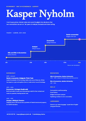 Economist CV — career curve