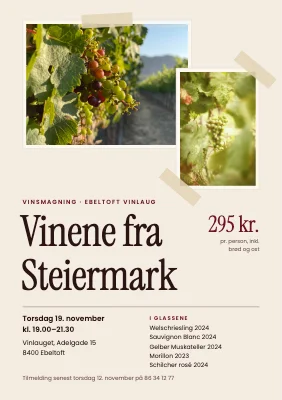 Vinsmagning — vinene fra Steiermark