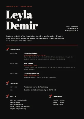 Cleaning manager CV
