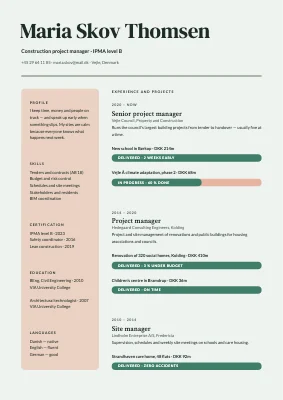 Project manager CV — progress bars
