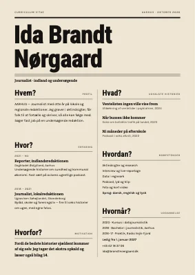 CV til journalist — hv-spørgsmål