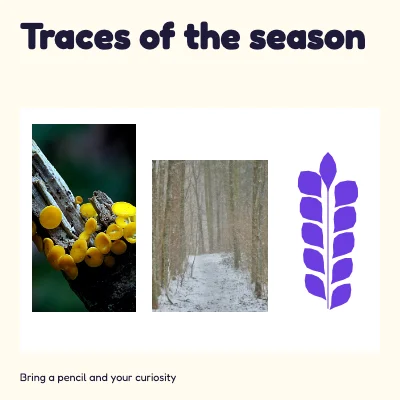Traces of the season · vivid learning