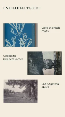 Side 2 af Stilhed i billedet · Indrammet print