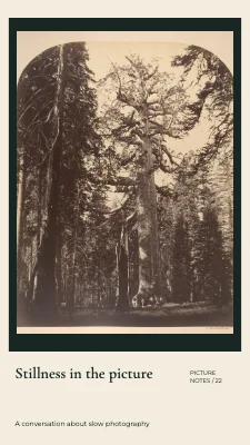 Stillness in the picture · Mounted print