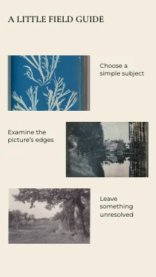 Page 2 of Stillness in the picture · Mounted print