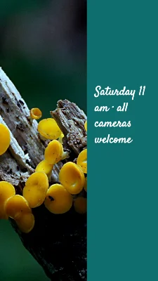 Page 3 of Another angle · weekend postcard