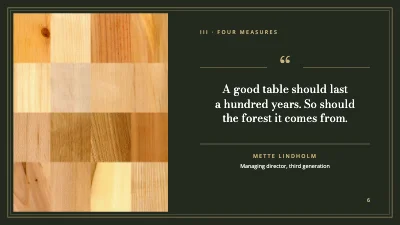 Page 6 of Climate plan — furniture maker