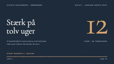 Fitnessprogram — 12 ugers styrkeforløb