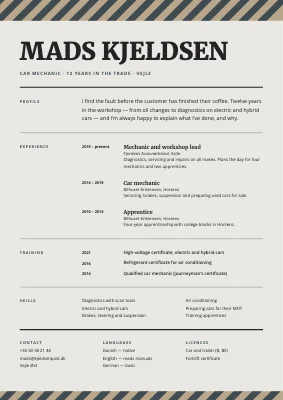 Car mechanic CV