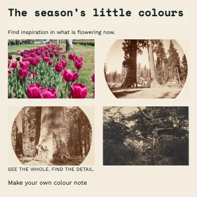 The season’s little colours · Study sheet