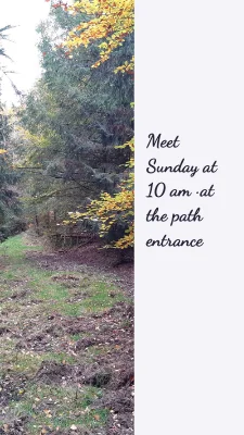 Page 3 of Out of the inbox · soft wellness