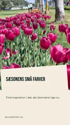 Sæsonens små farver · Skråt folio