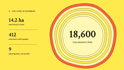 Page 4 of Annual report — tree planting