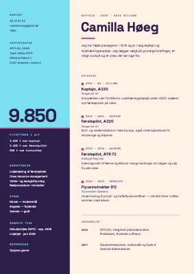 CV til pilot — kunstig horisont