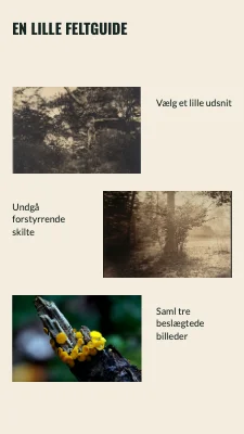 Side 2 af Gadens små detaljer · Fotografisk billet