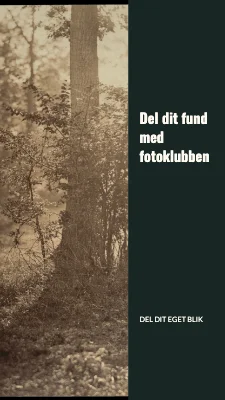 Side 3 af Gadens små detaljer · Fotografisk billet