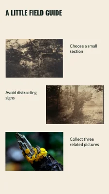 Page 2 of The street’s small details · Photo ticket