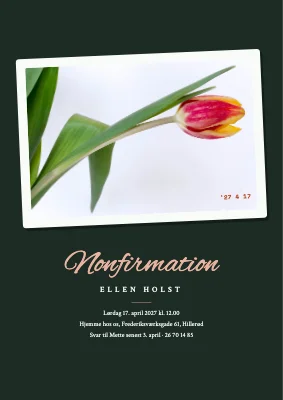 Nonfirmation — retrofoto af en tulipanknop