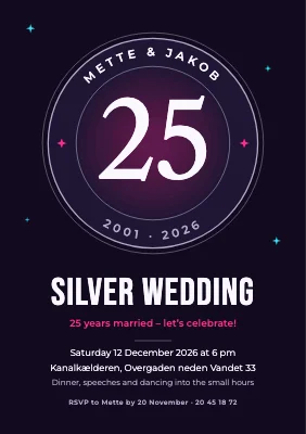 Silver wedding — neon seal on a winter night