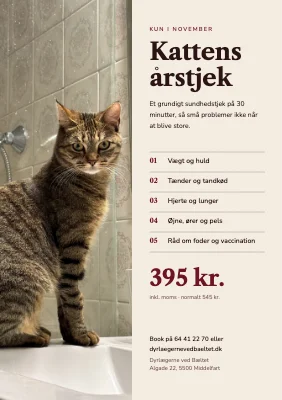 Dyrlæge — sundhedstjek for katte