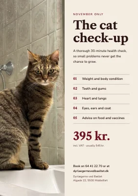Vet — health check for cats