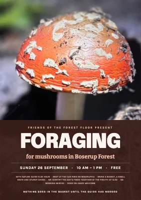 Mushroom walk in Boserup Forest — film poster