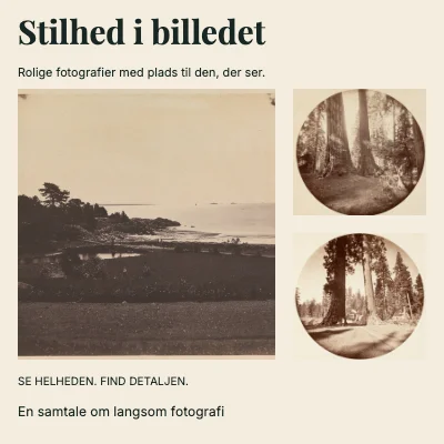 Stilhed i billedet · Hjørnestudie