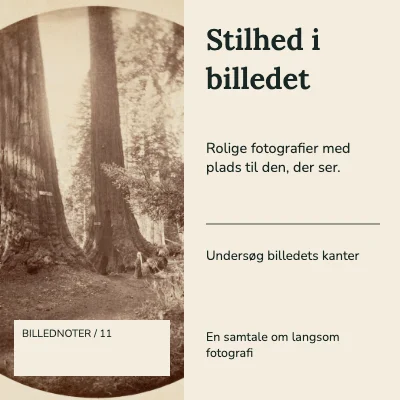 Stilhed i billedet · To spalter