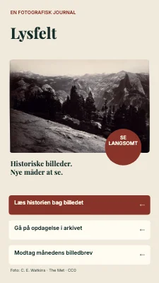 Lysfelt — Fotografiske fortællinger