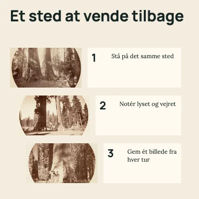 Et sted at vende tilbage · Tre trin
