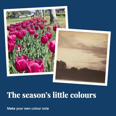The season’s little colours · Two prints