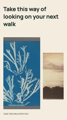 Page 3 of Look further · Three steps