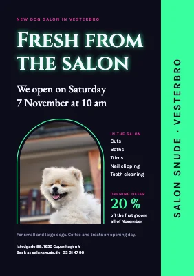 Dog grooming salon — opening in Vesterbro