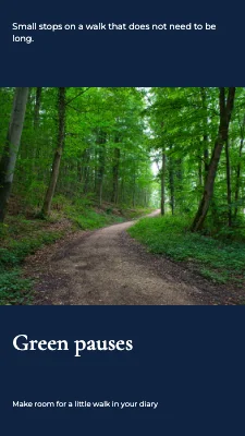 Green pauses · panorama serif